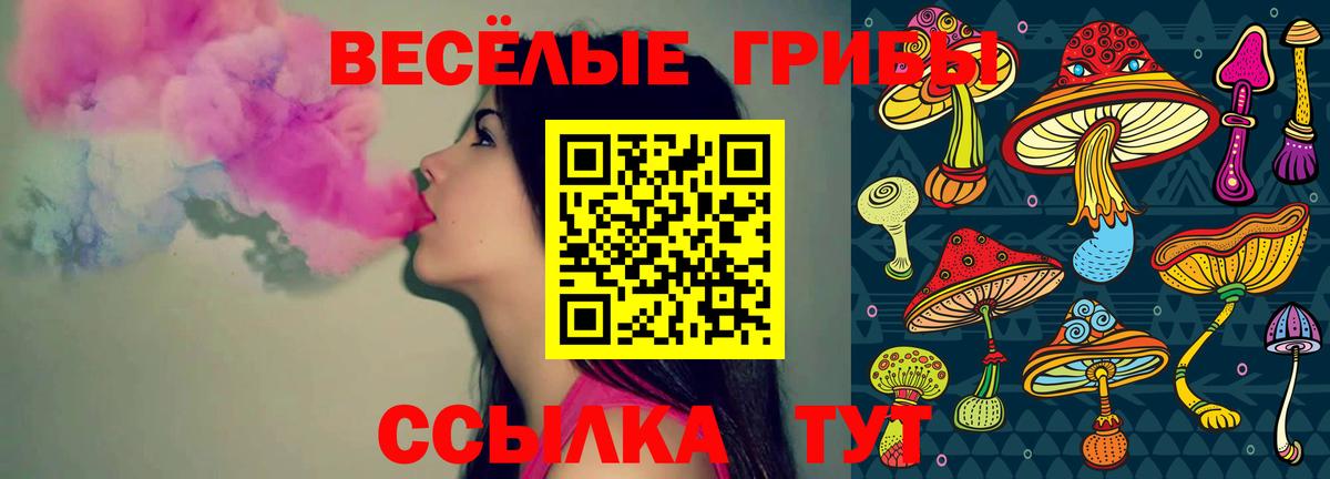 Будённовск  Галлюциногенные грибы мухоморы  Вход с VPN 