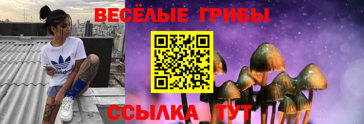 Псилоцибиновые грибы мицелий Будённовск
