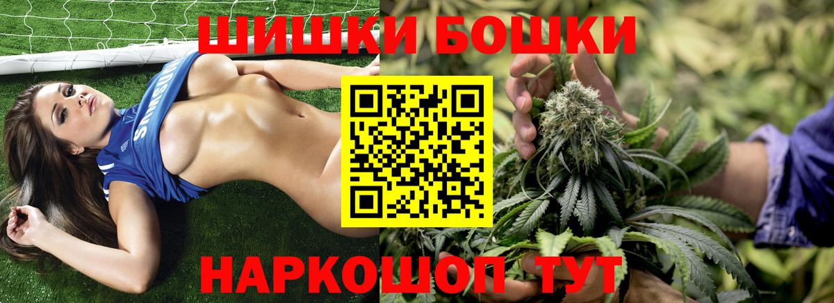 Бошки Шишки гибрид Будённовск